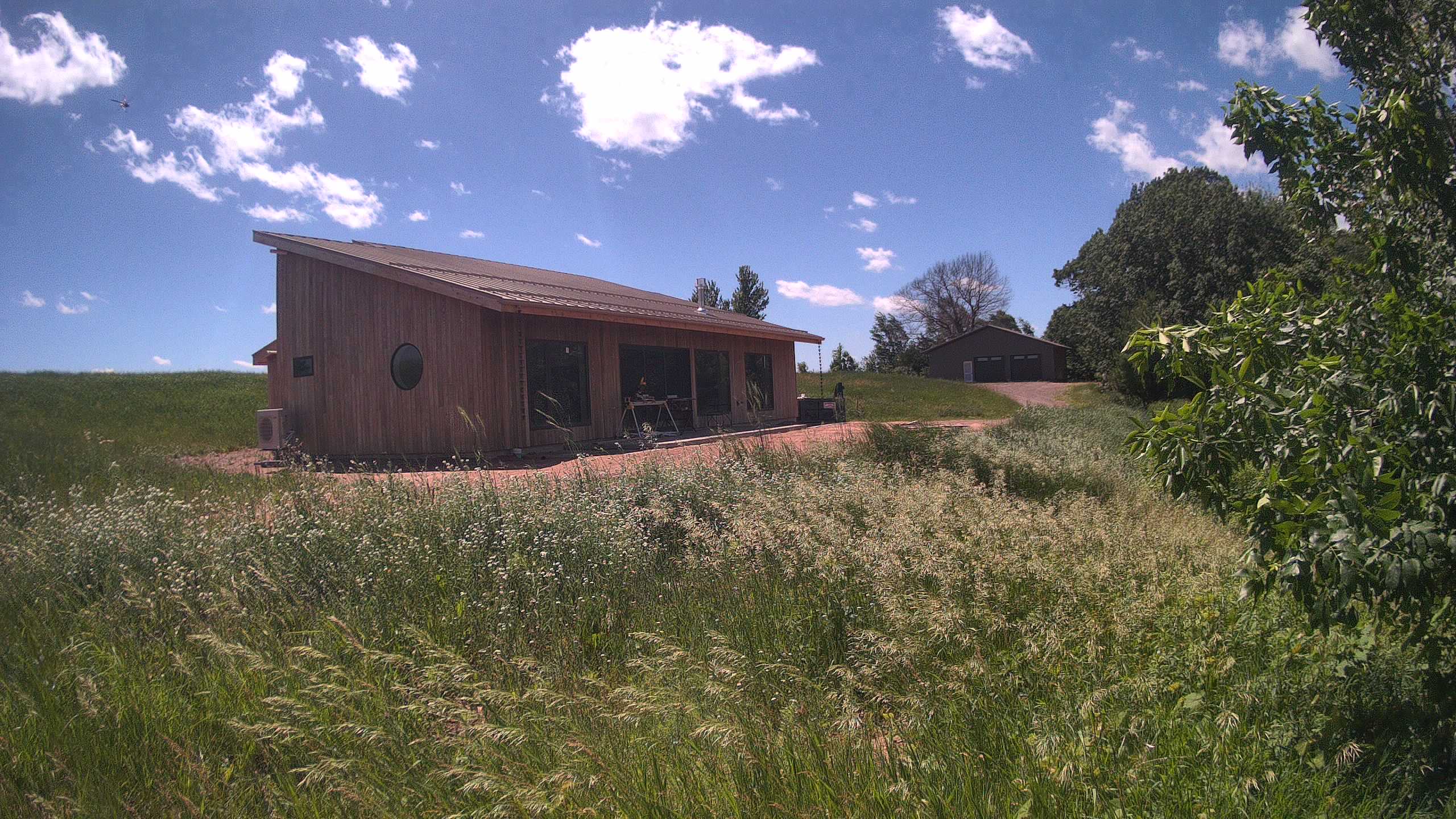 A photo from the field camera