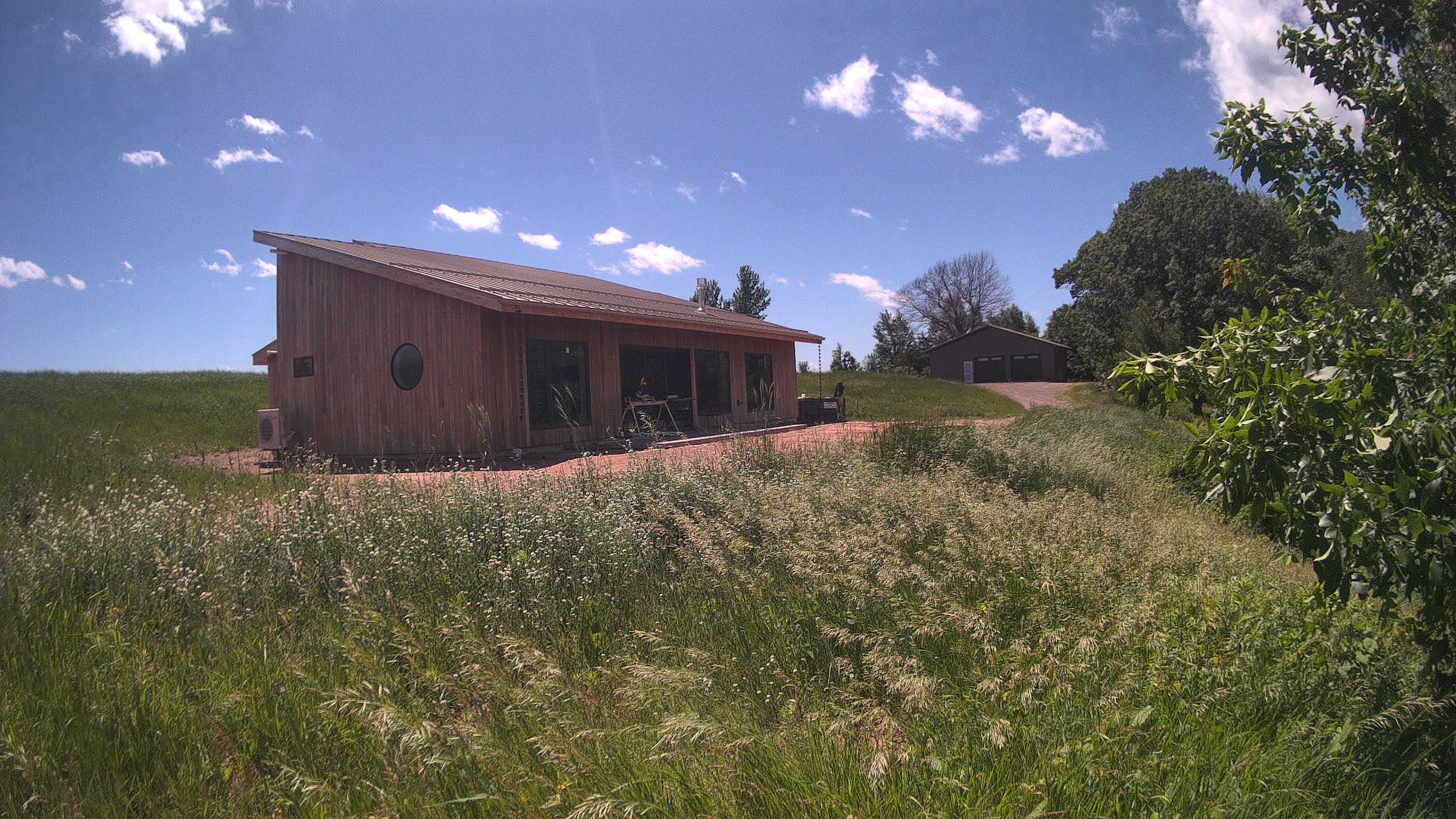 A photo from the field camera