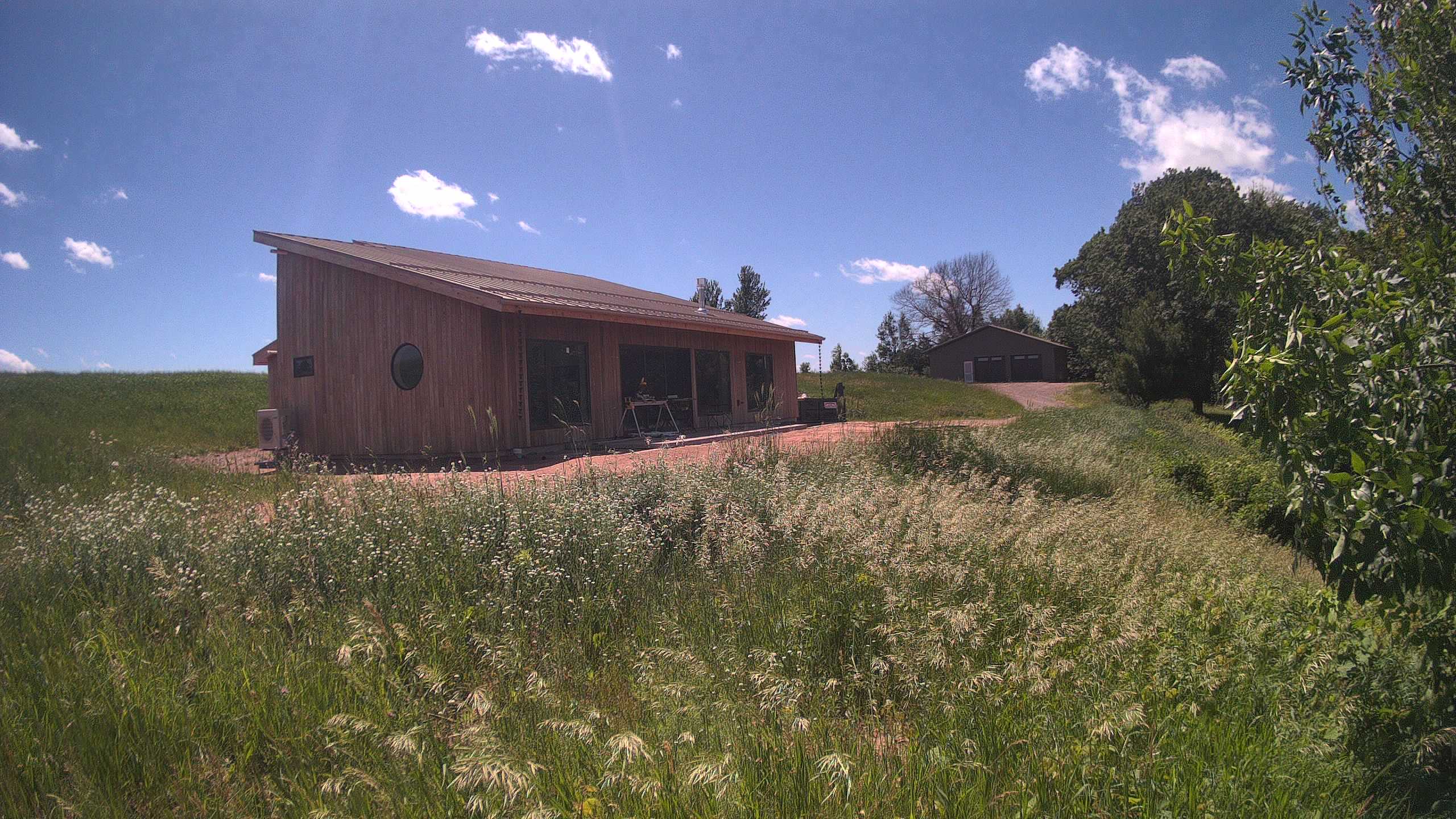 A photo from the field camera