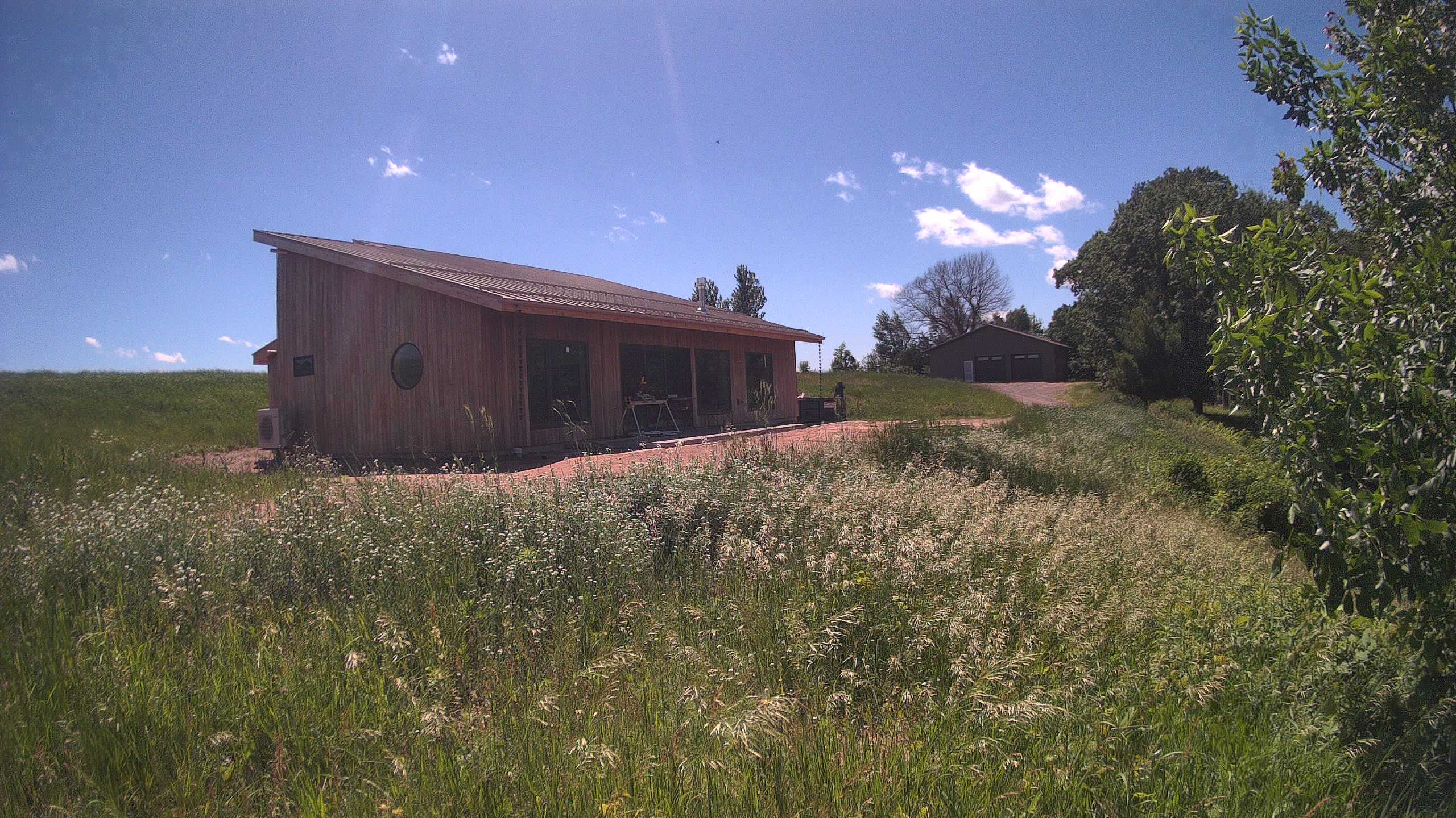 A photo from the field camera