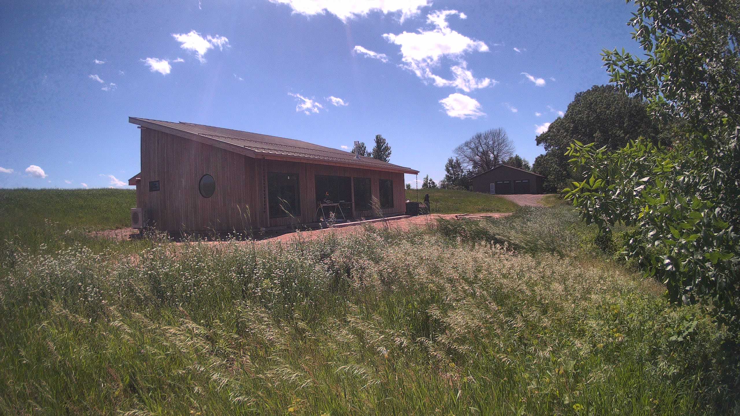 A photo from the field camera