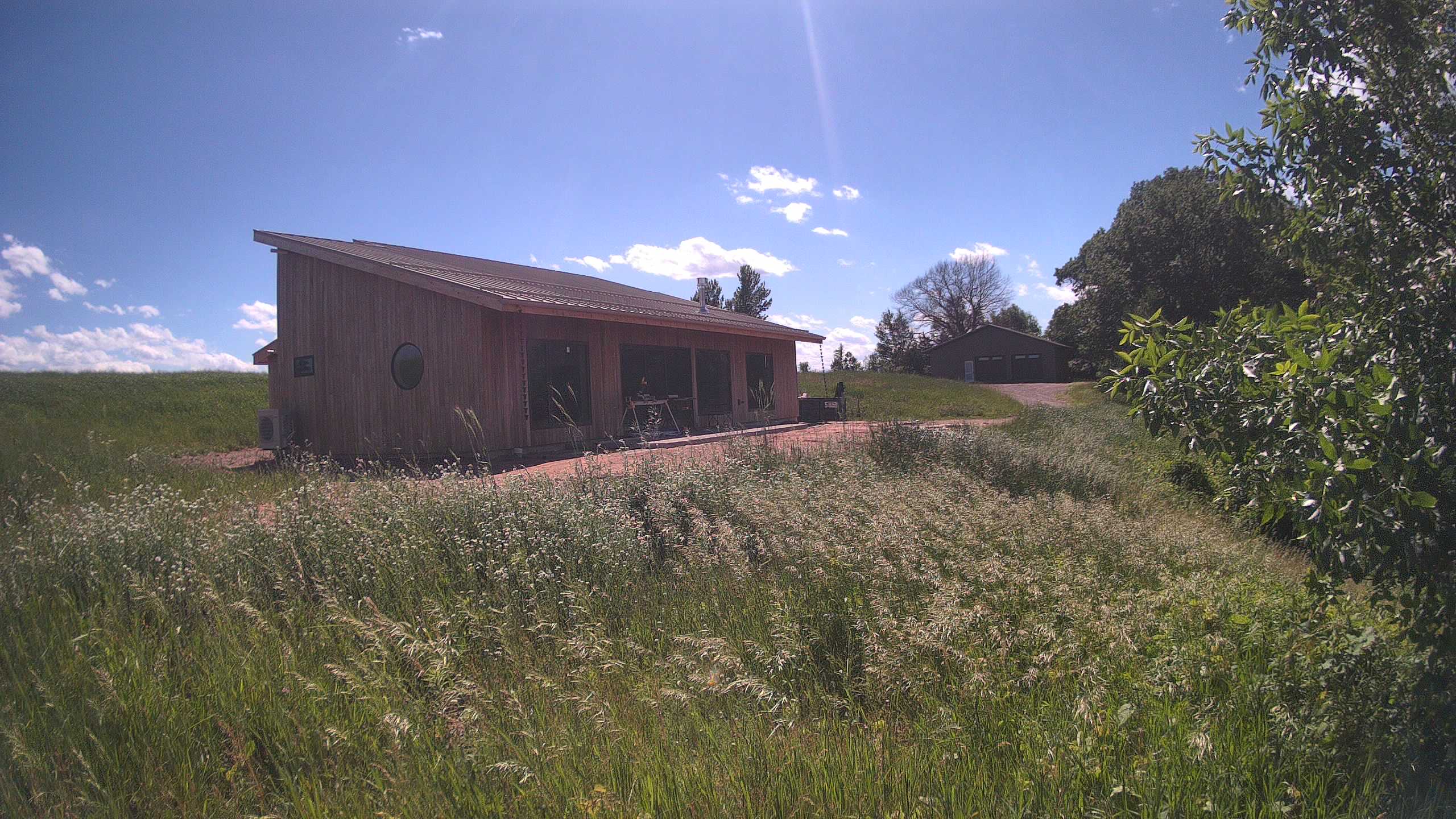 A photo from the field camera