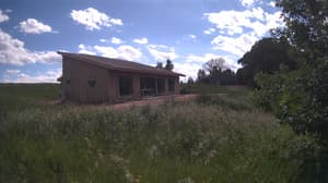 A newer photo from the camera