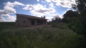 A newer photo from the camera