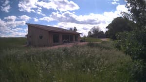An older photo from the camera
