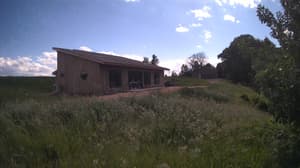 An older photo from the camera