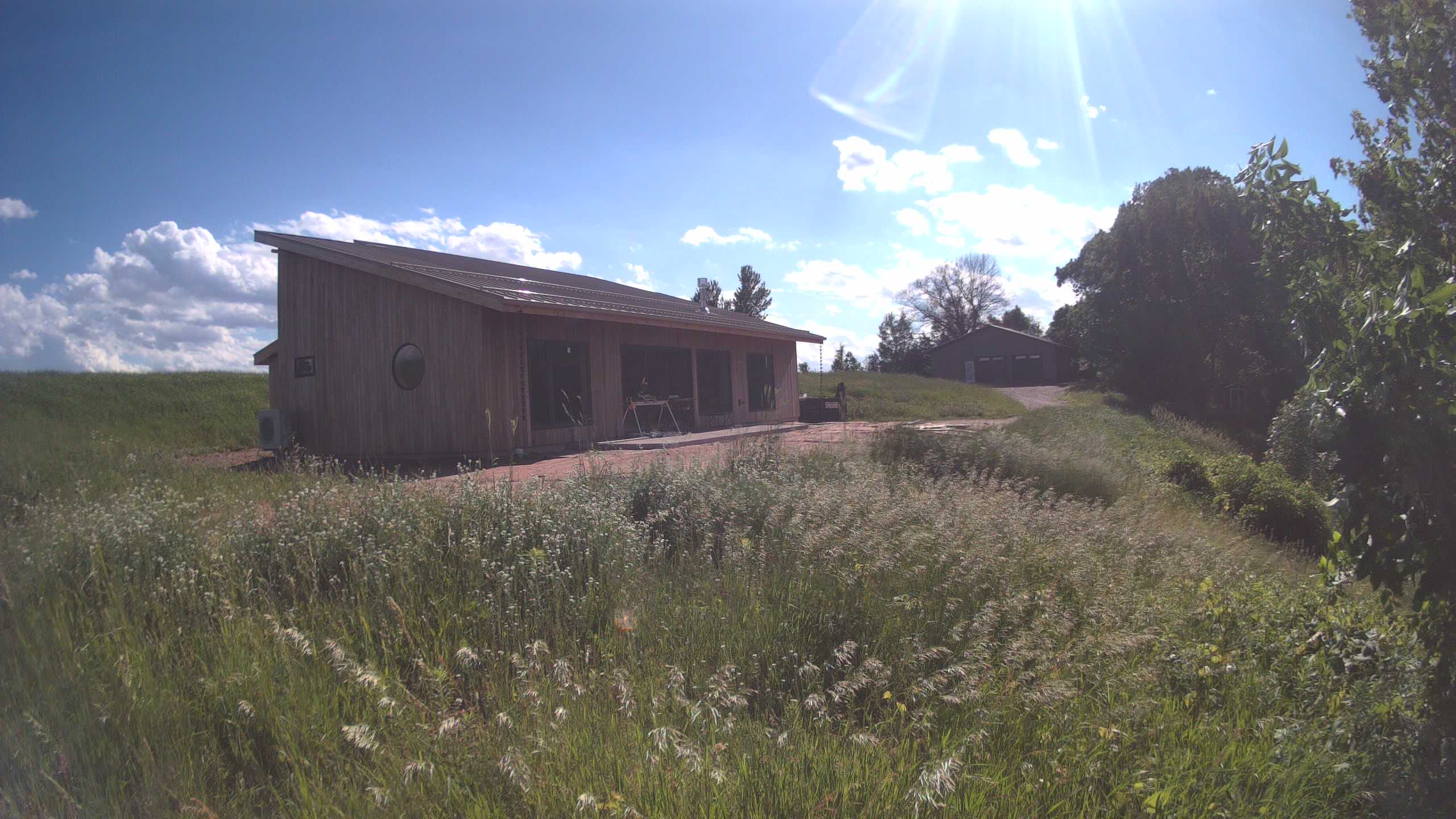 A photo from the field camera