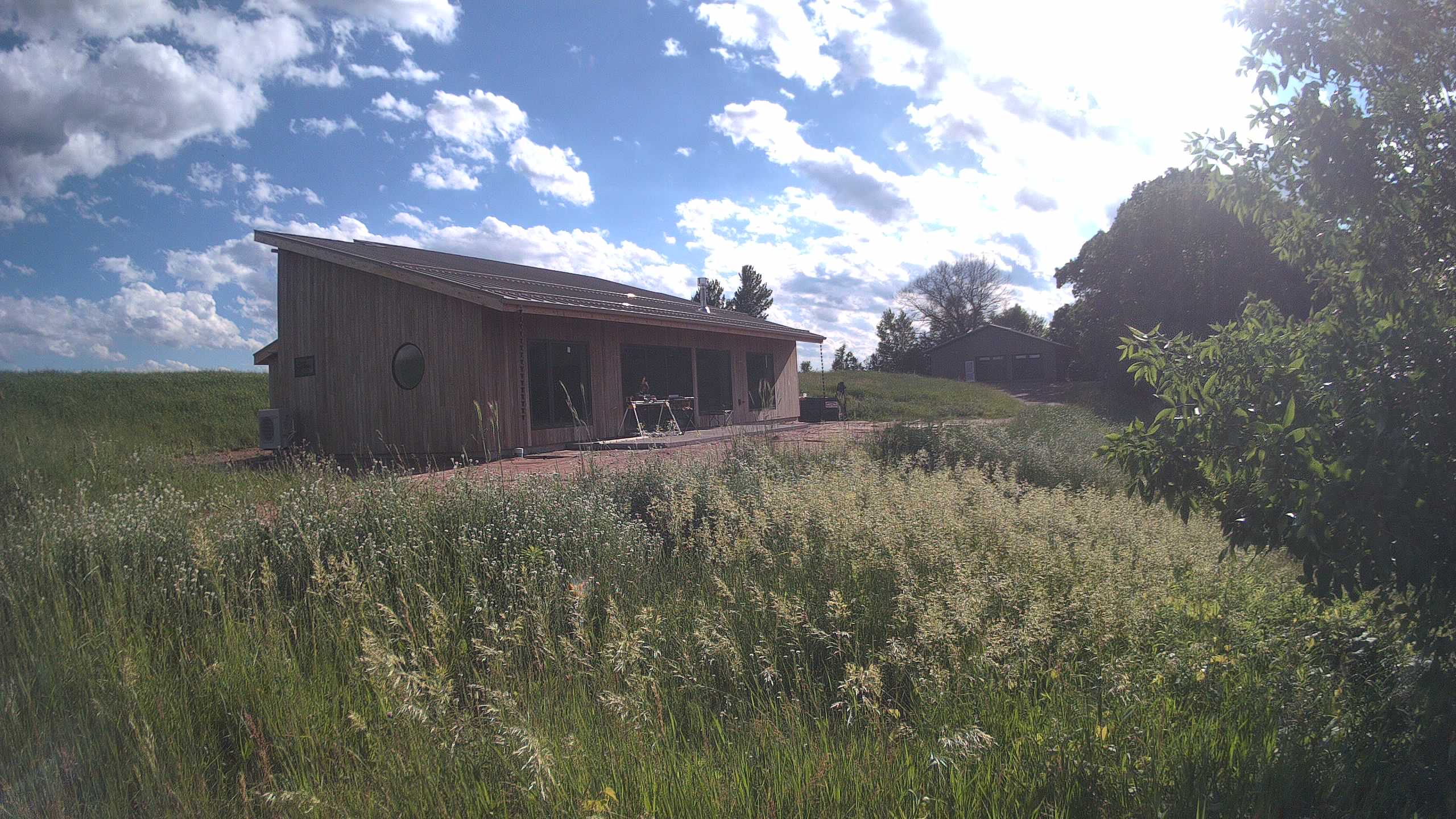 A photo from the field camera
