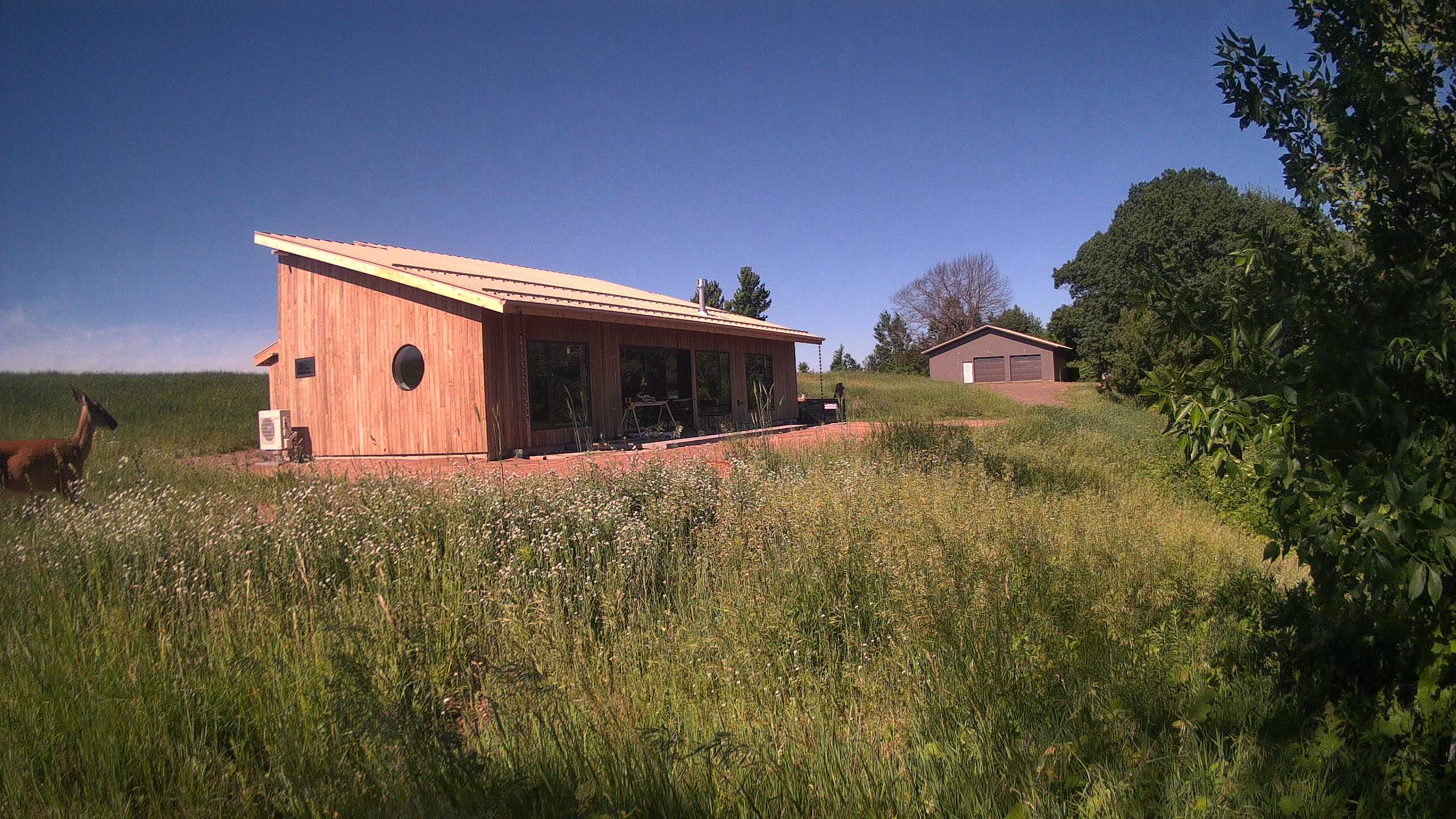 A photo from the field camera