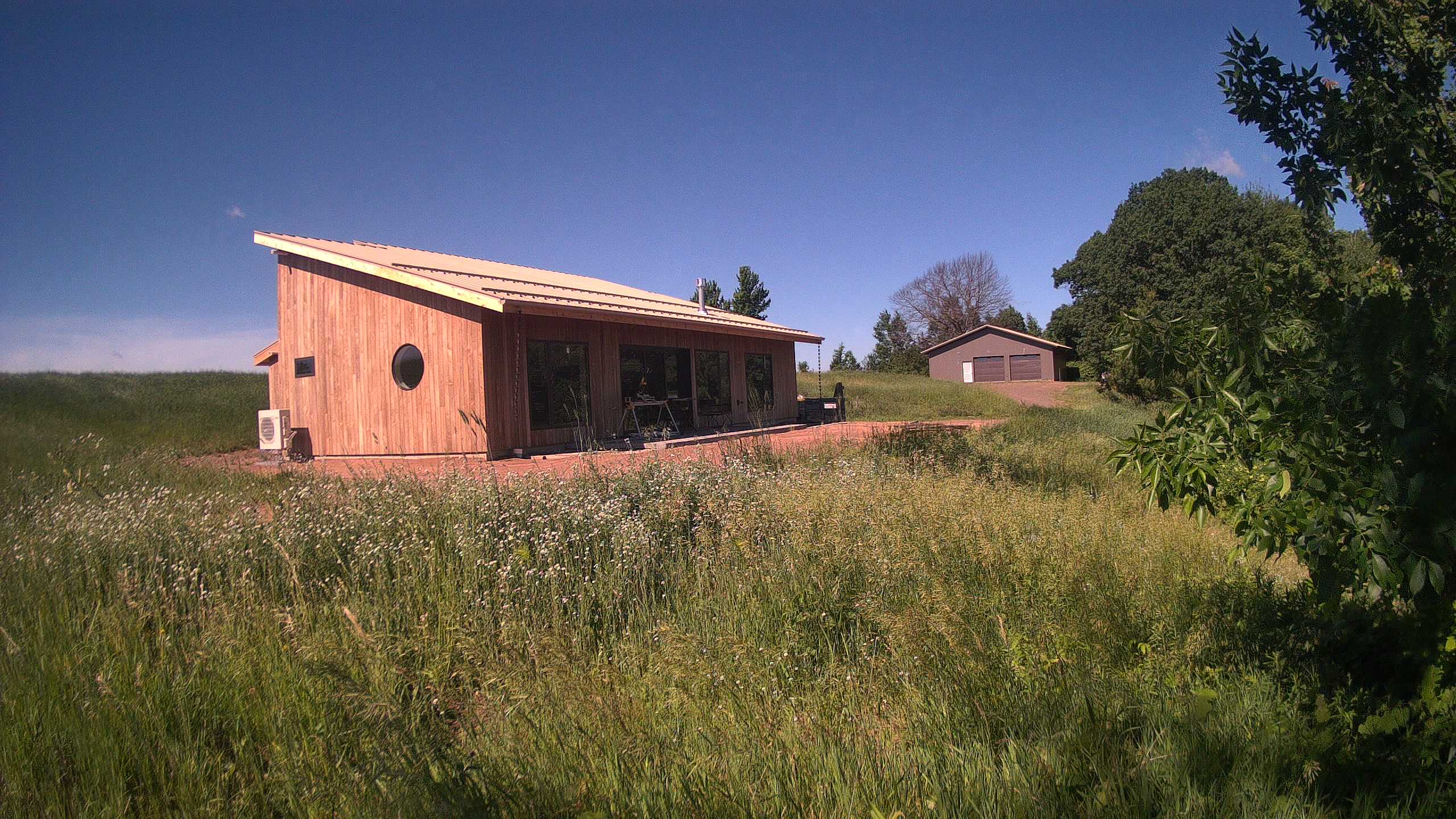A photo from the field camera