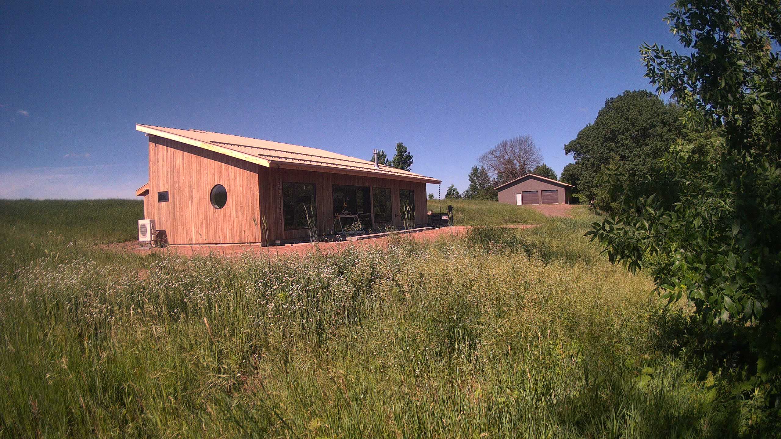 A photo from the field camera