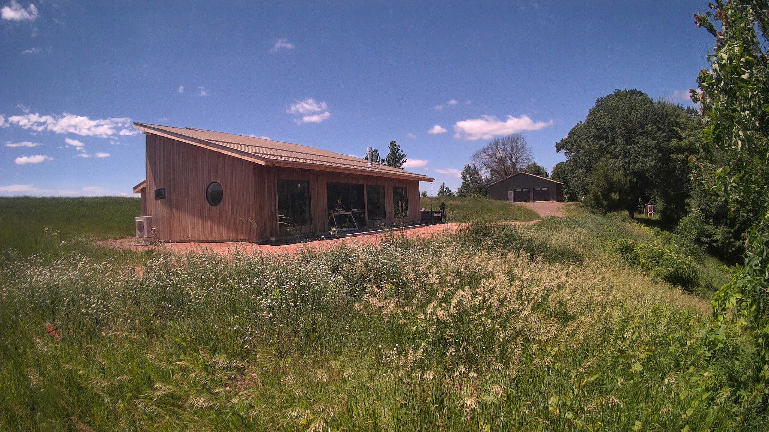 A photo from the field camera