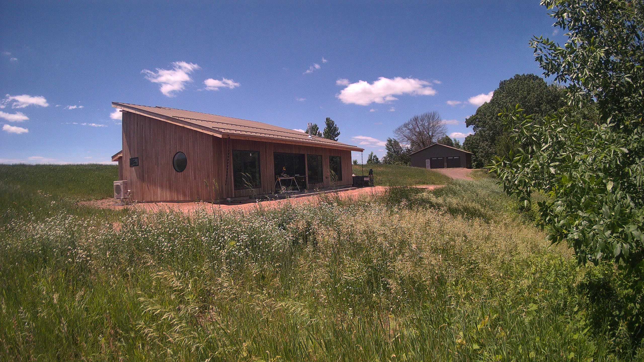 A photo from the field camera