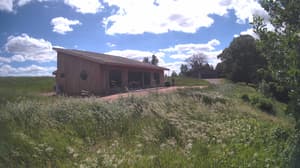 A newer photo from the camera