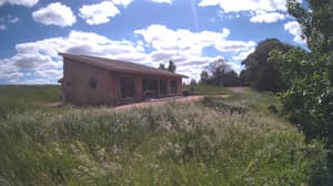 A newer photo from the camera