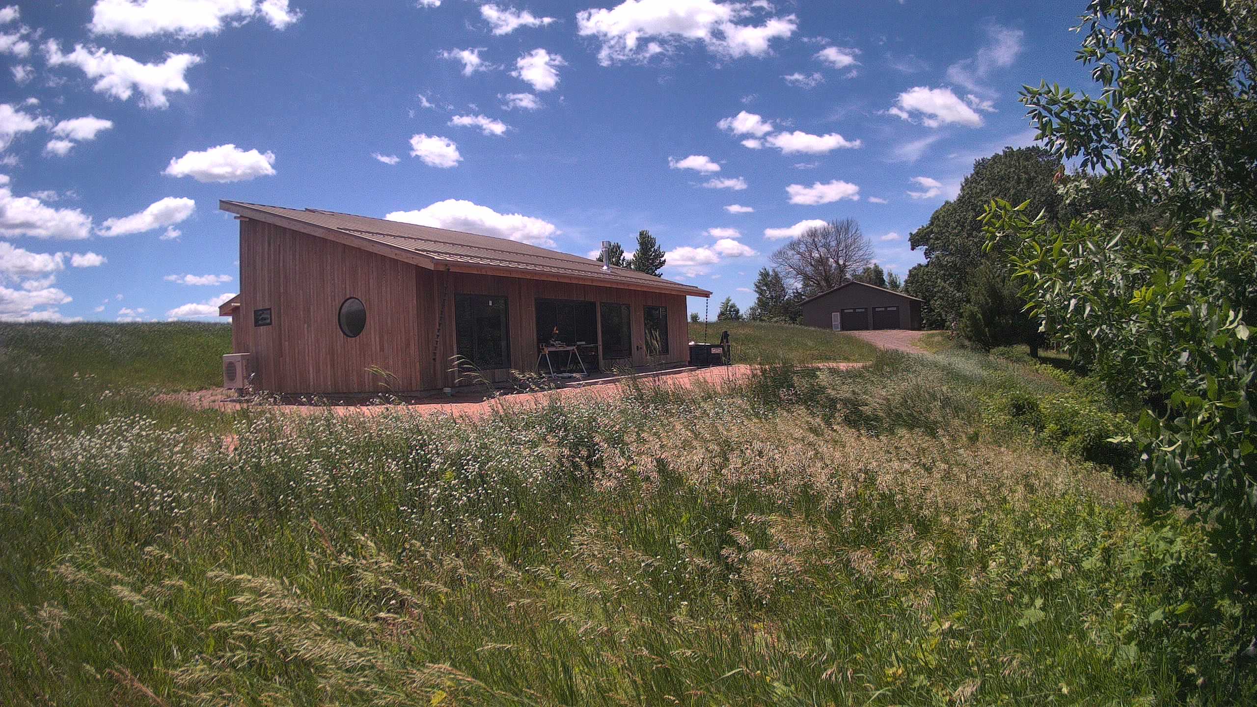 A photo from the field camera