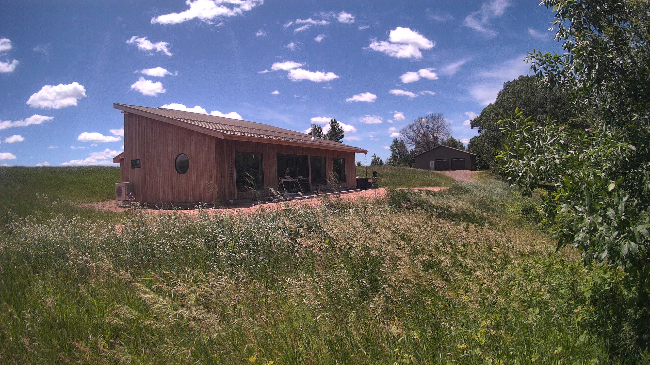 A photo from the field camera