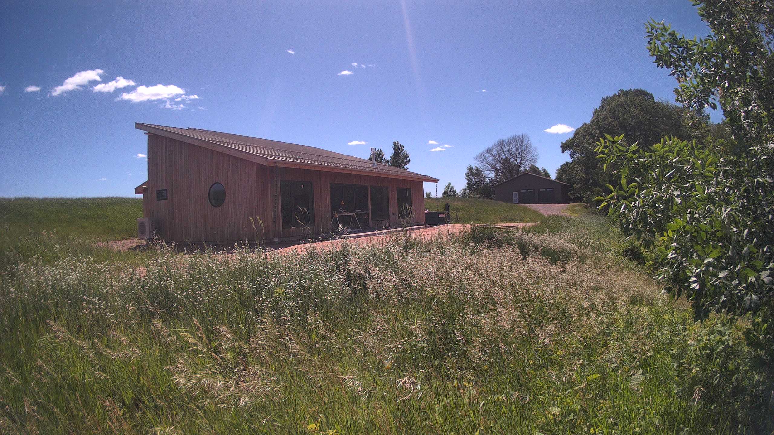 A photo from the field camera