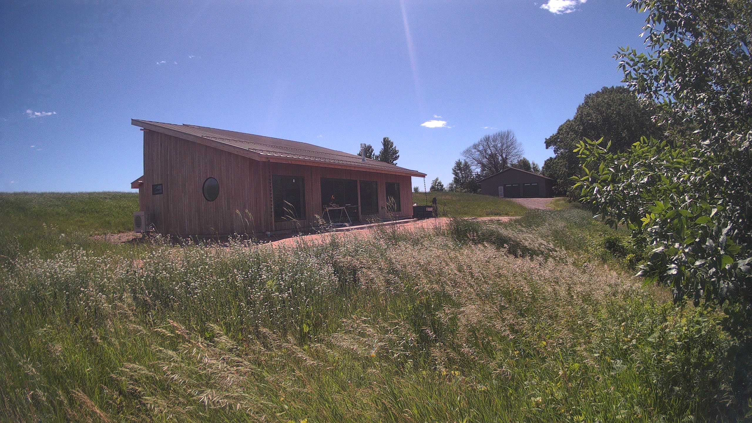 A photo from the field camera