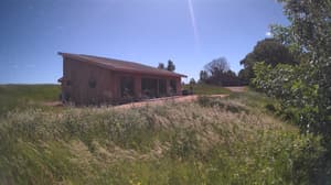 A newer photo from the camera