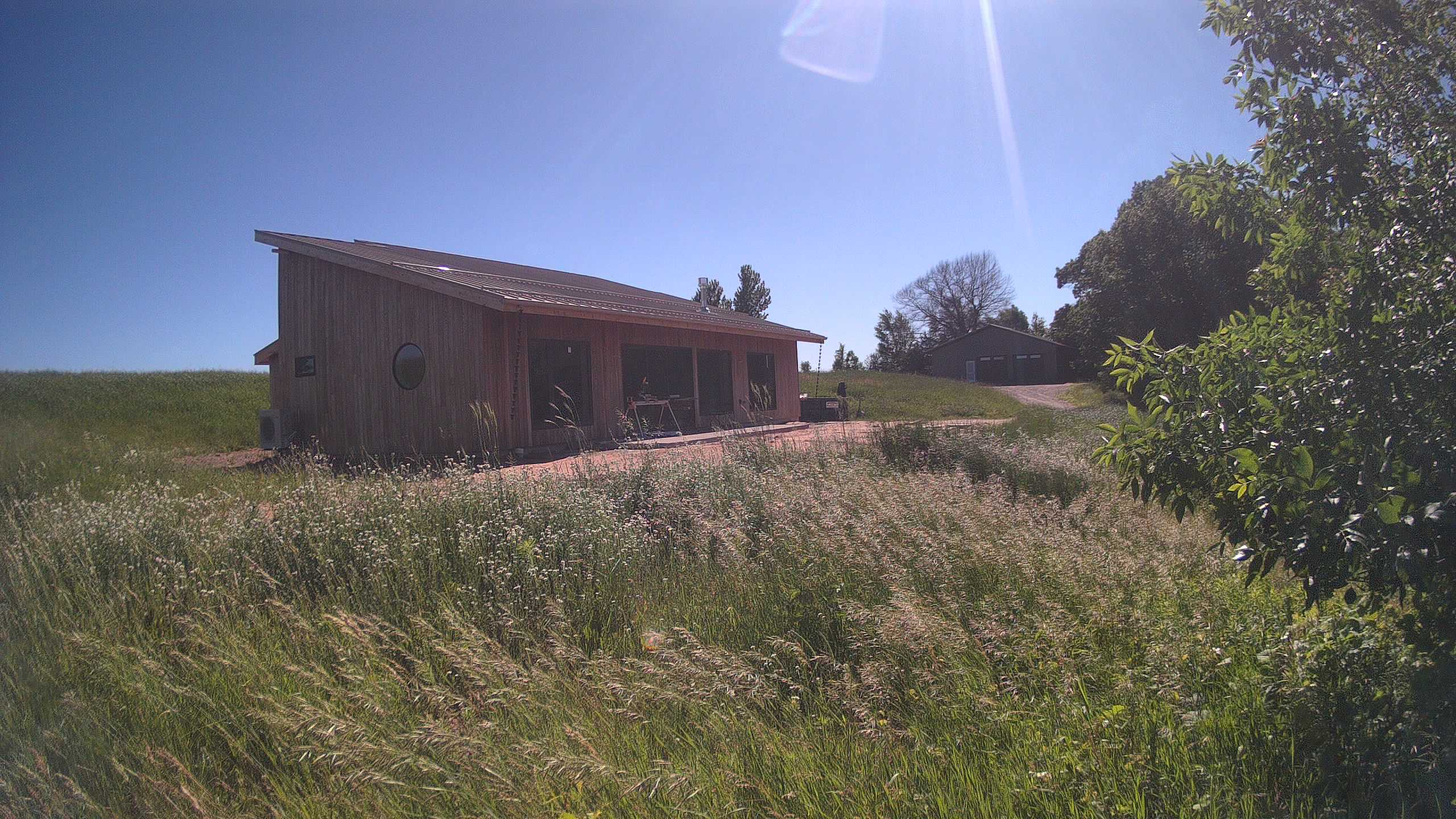 A photo from the field camera