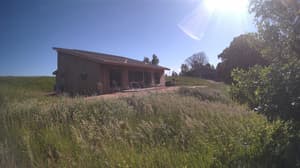 A newer photo from the camera