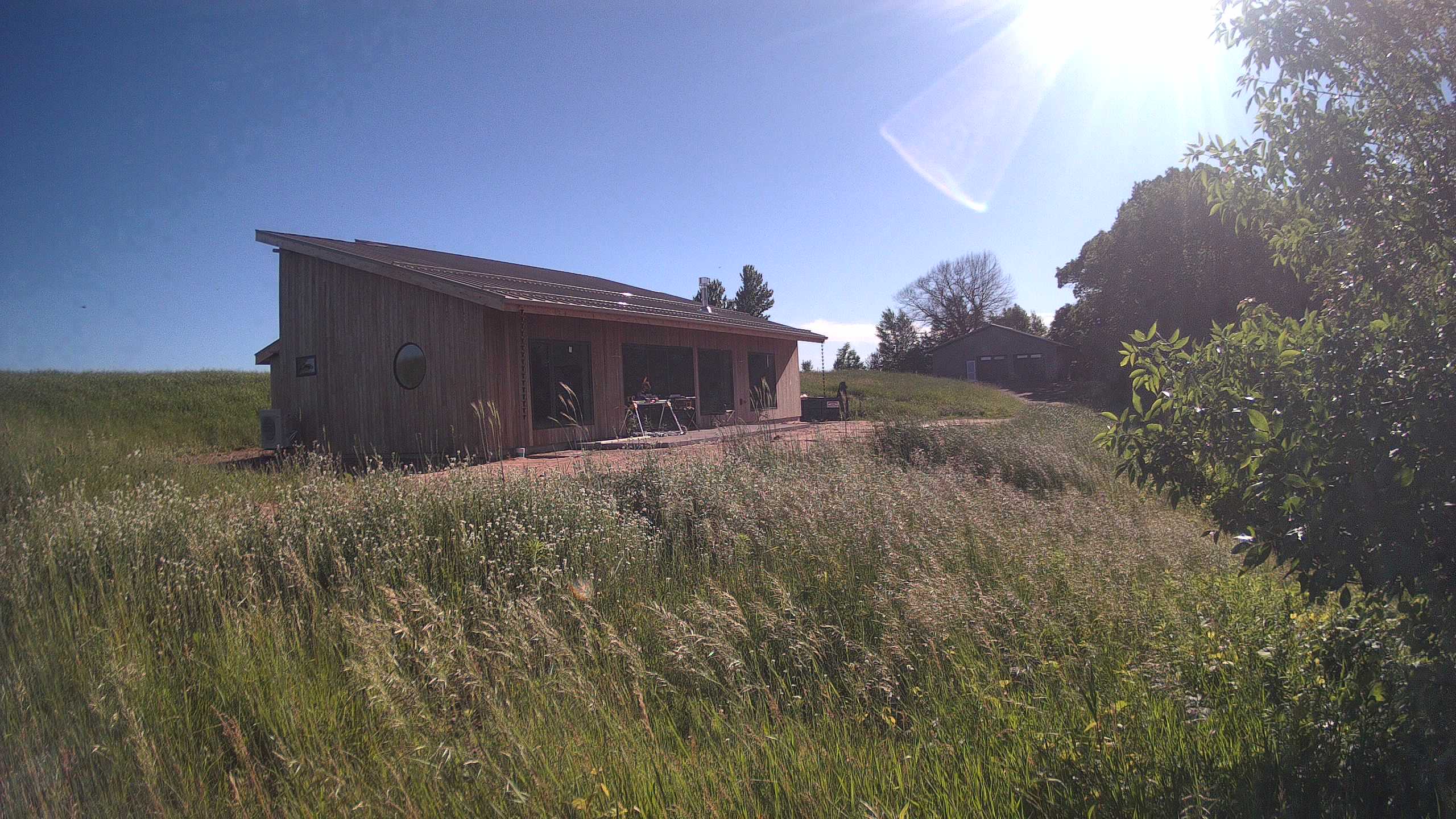 A photo from the field camera