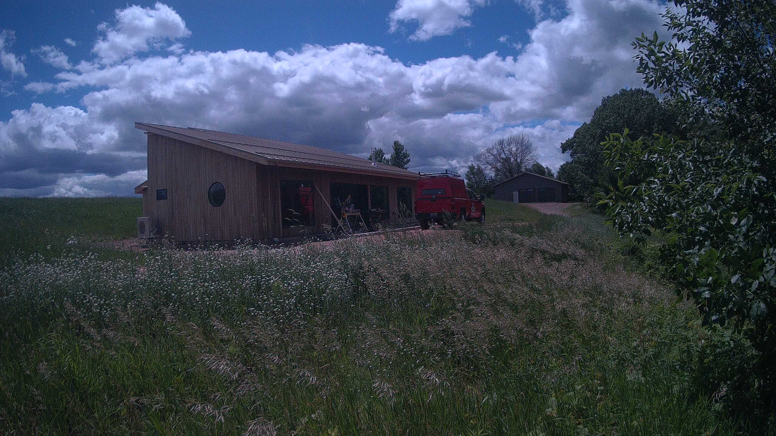 A photo from the field camera
