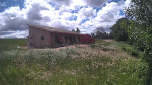 A newer photo from the camera