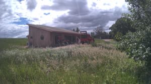 A newer photo from the camera