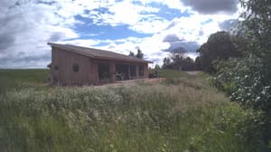 A newer photo from the camera