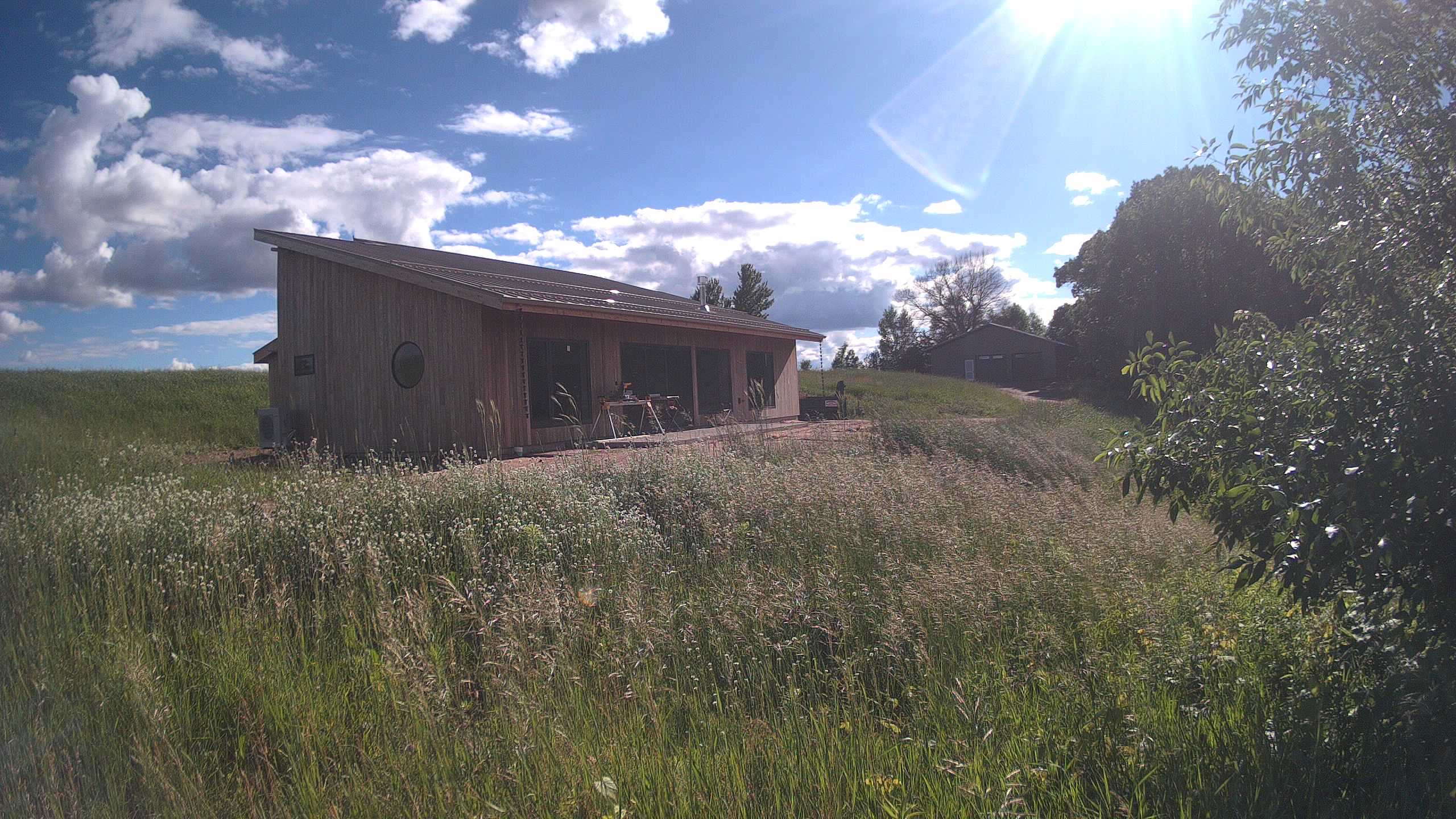 A photo from the field camera