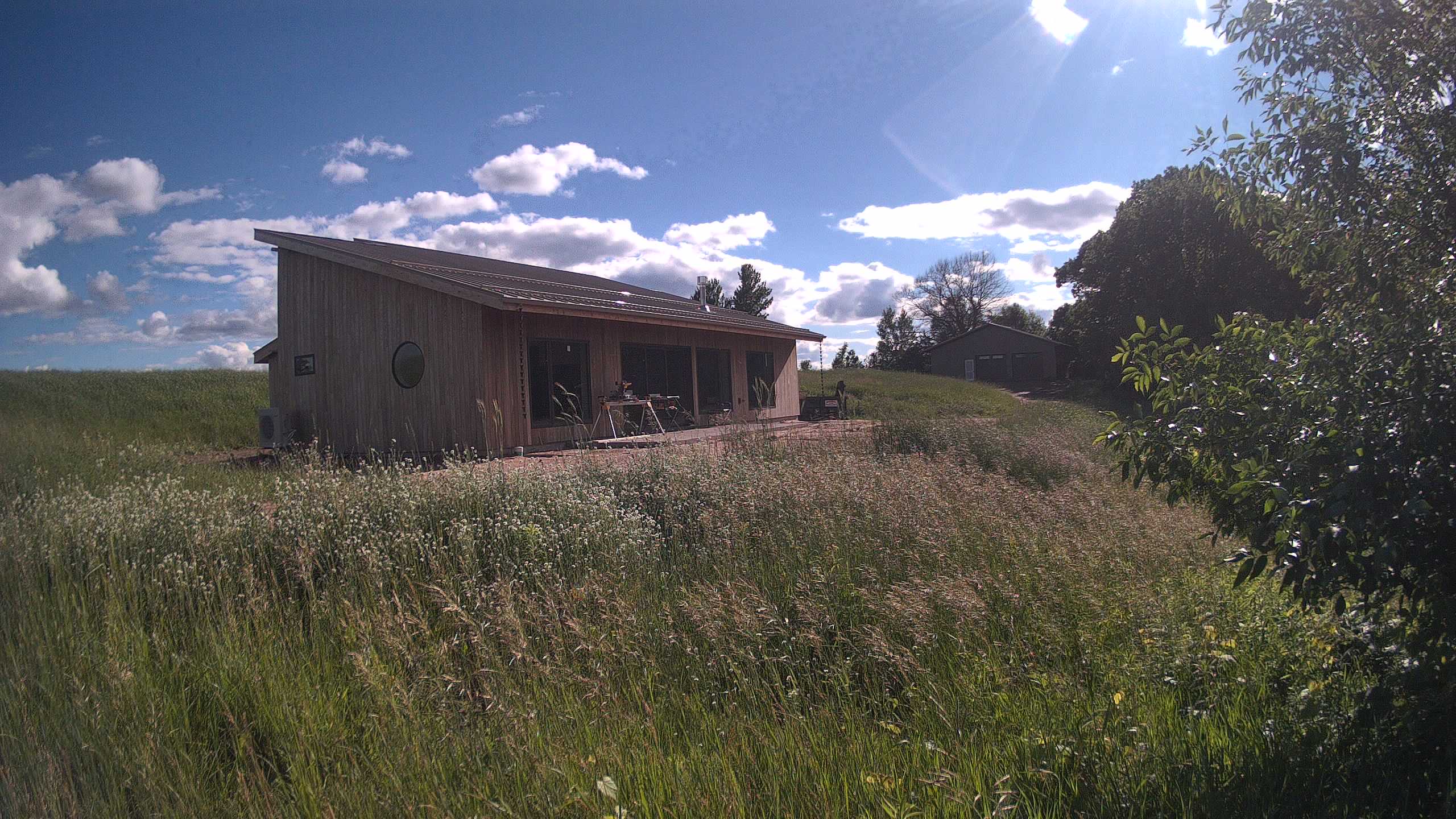 A photo from the field camera