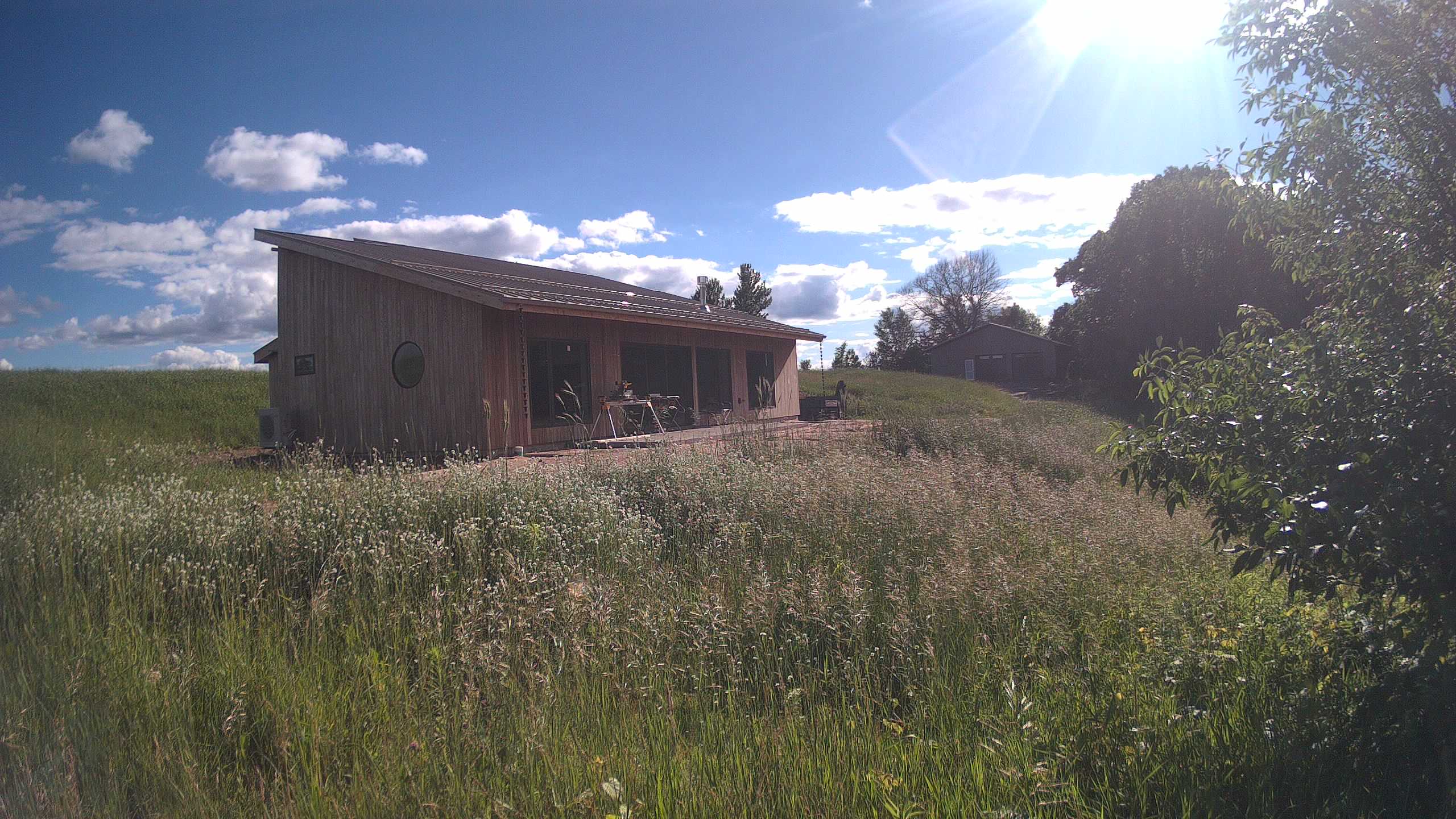 A photo from the field camera