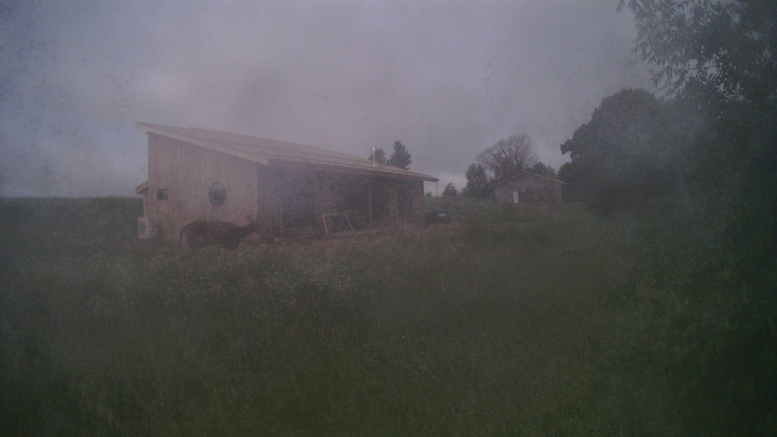 The field cam, Jun 20, 2026 at 5:48am