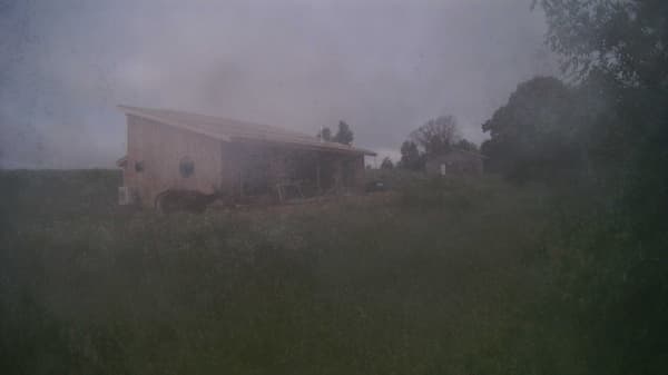 The field cam, Jun 20, 2026 at 5:48am