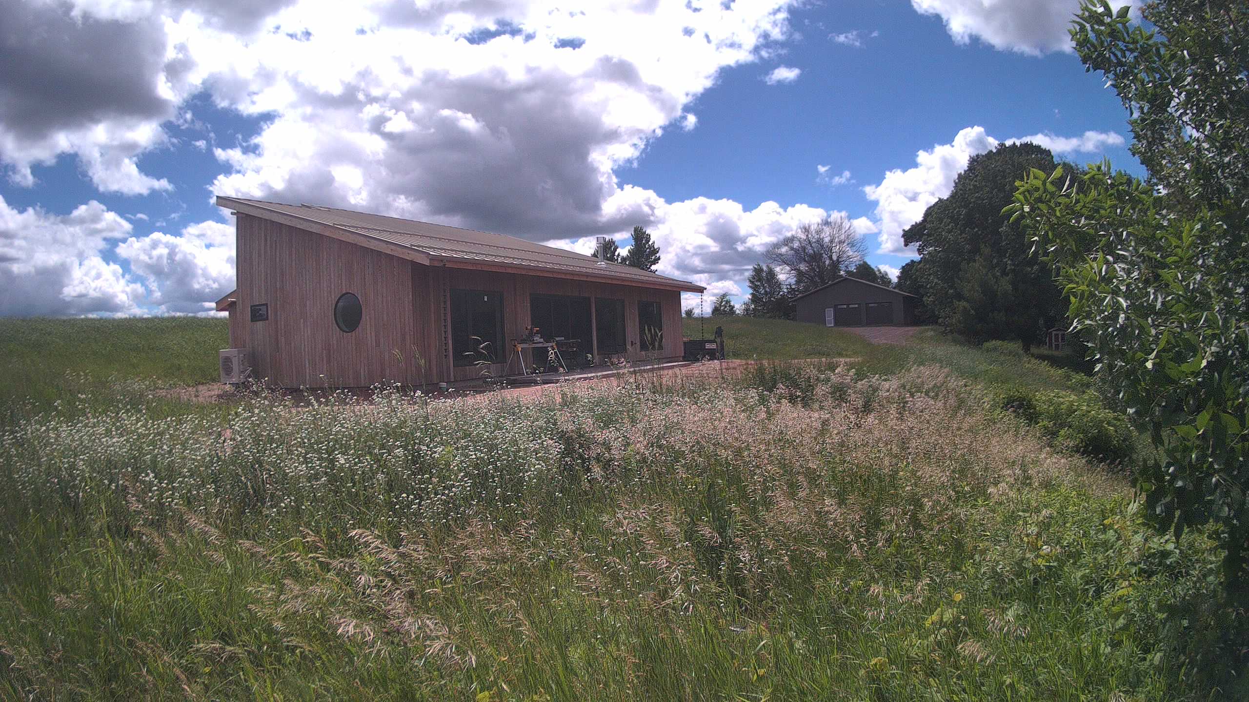 A photo from the field camera