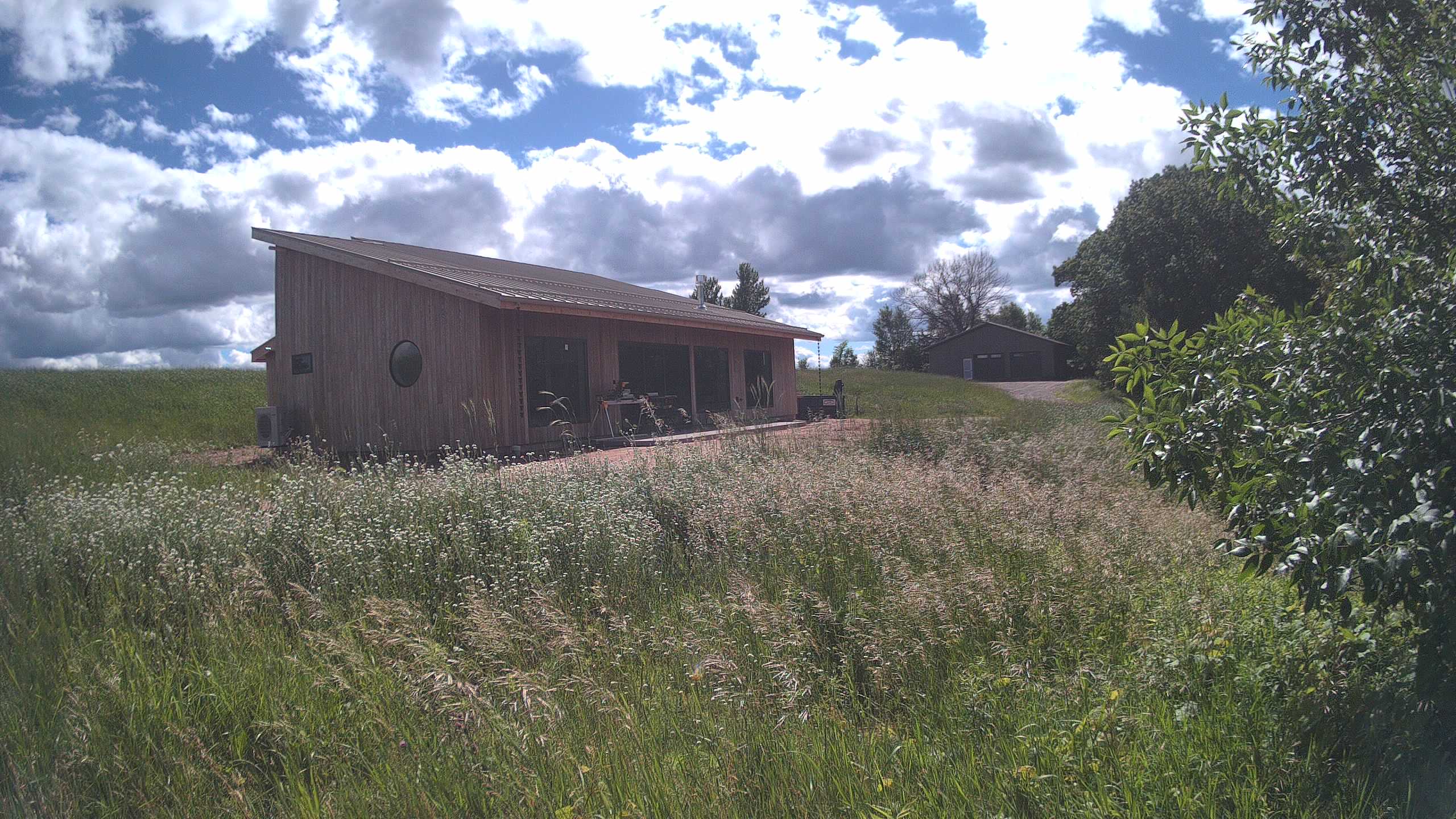 A photo from the field camera