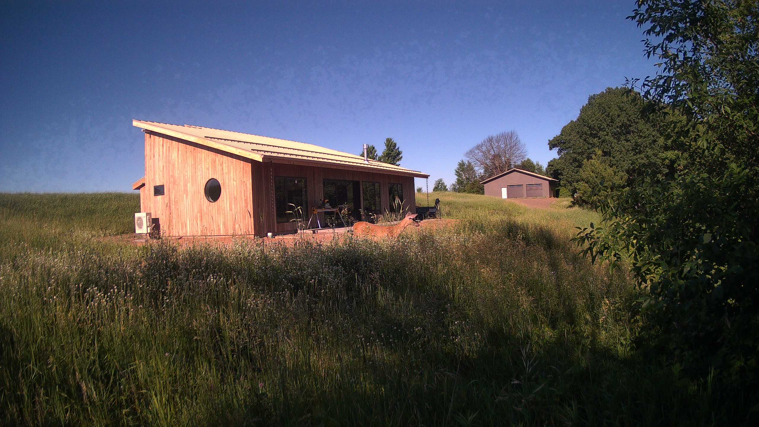A photo from the field camera
