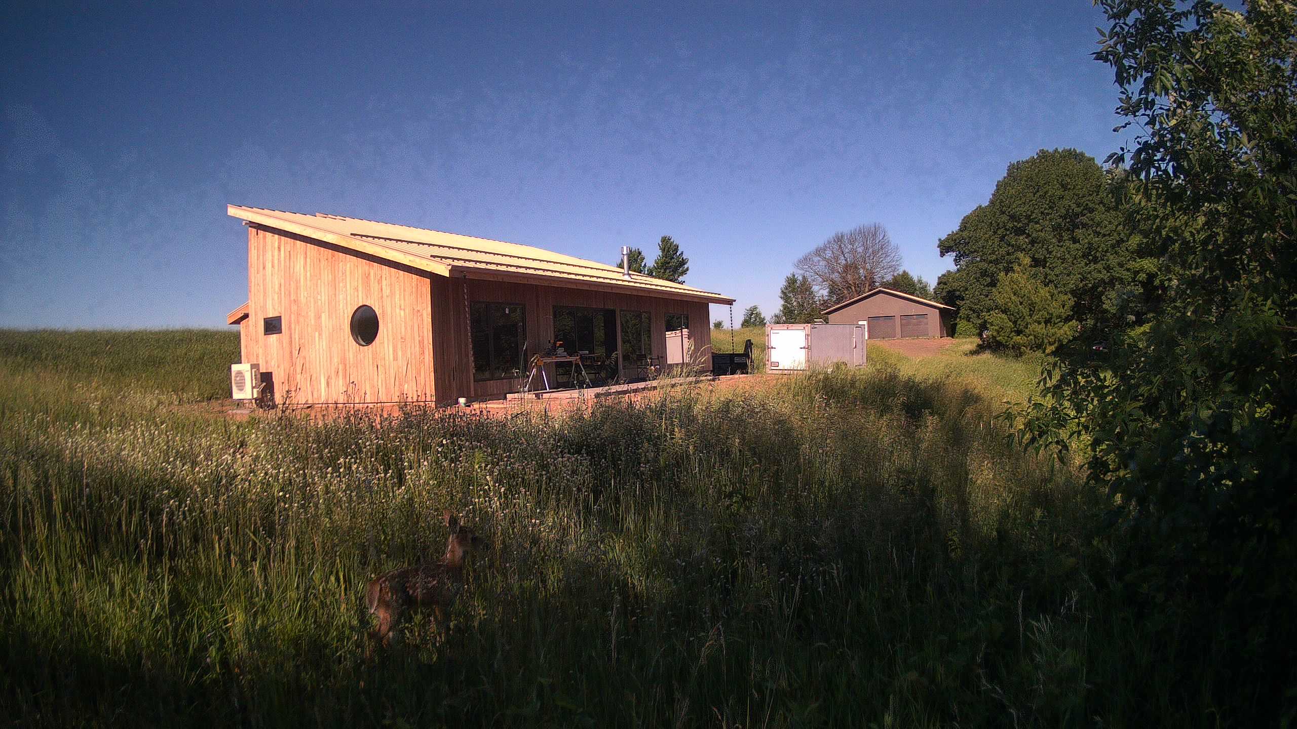 A photo from the field camera