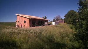 A newer photo from the camera