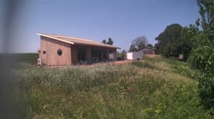 A newer photo from the camera