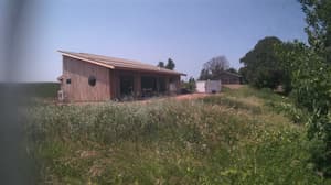 An older photo from the camera