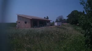An older photo from the camera