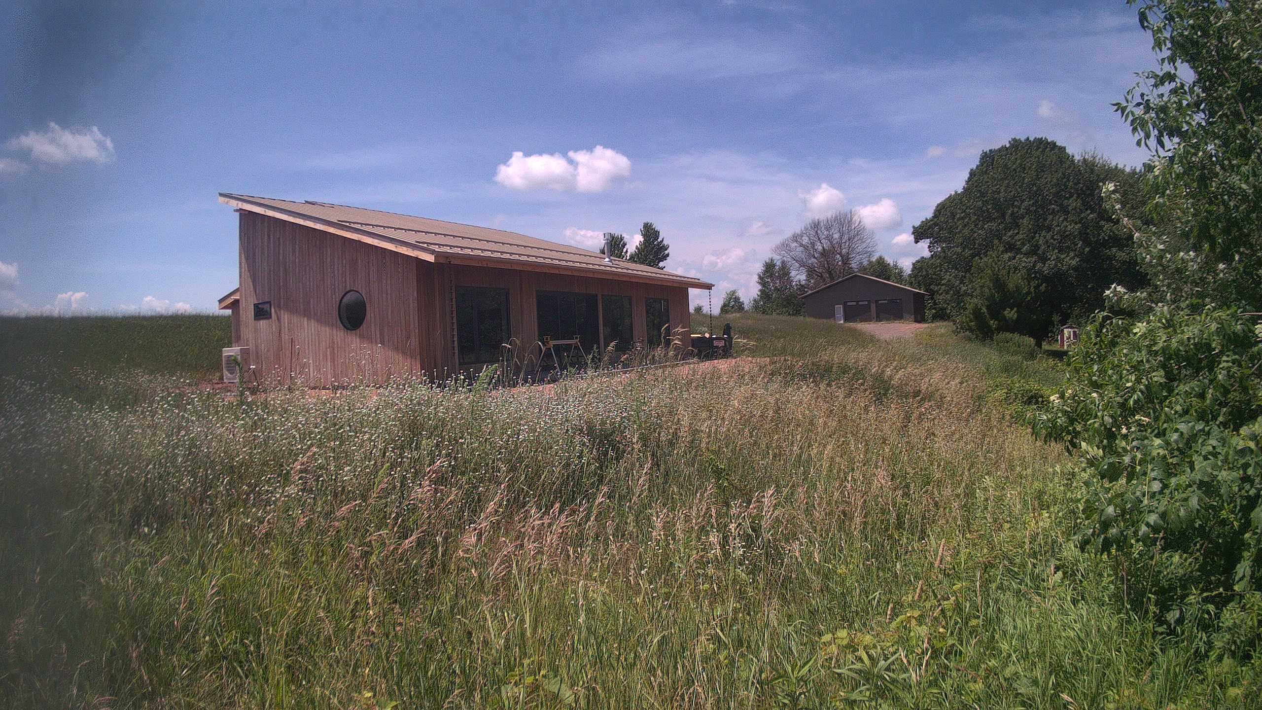 A photo from the field camera