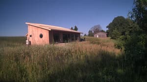 A newer photo from the camera