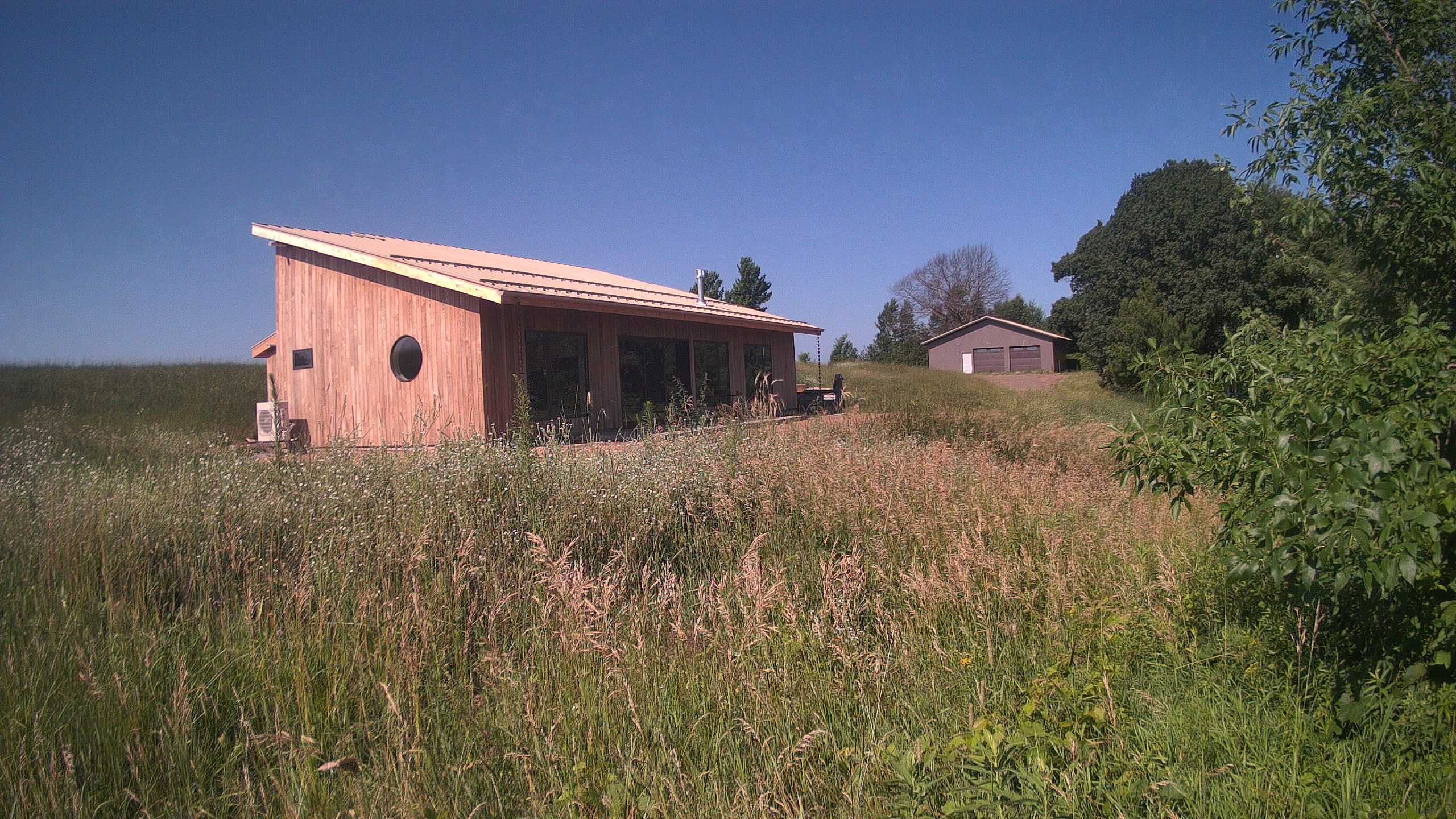 A photo from the field camera