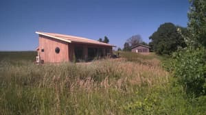 A newer photo from the camera