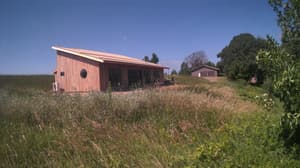 A newer photo from the camera