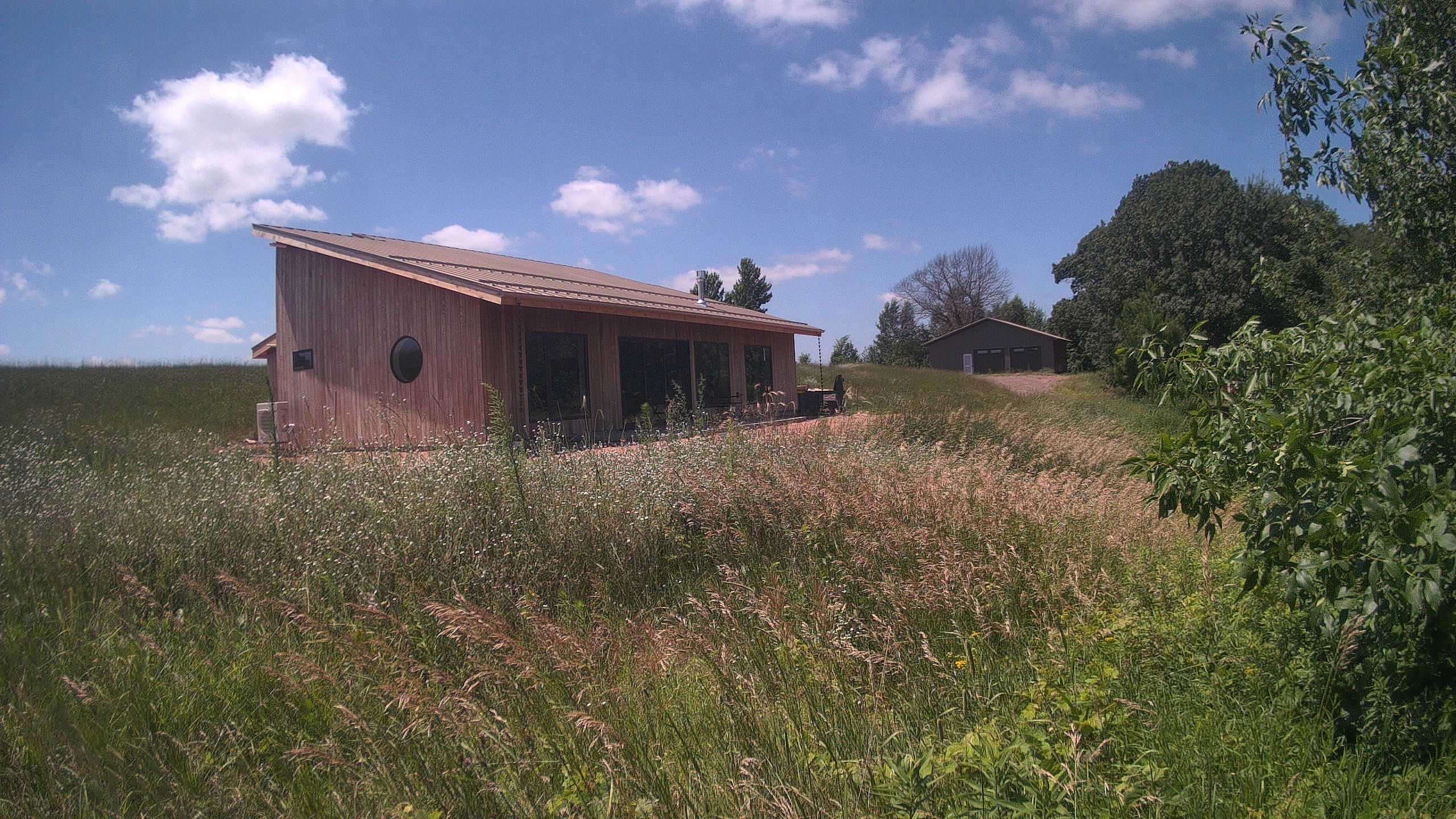 A photo from the field camera